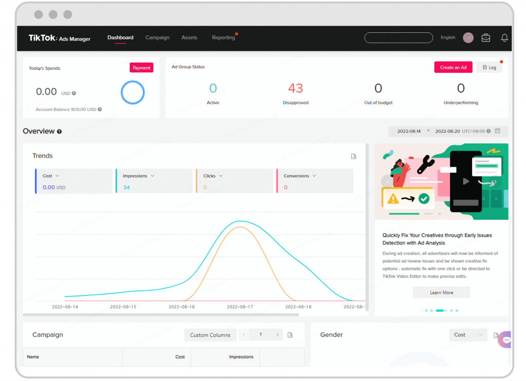 Interface de TikTok Ads