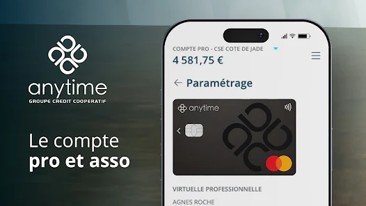 Interface de Anytime
